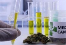 La chaîne israélienne Super-Pharm commence à vendre du cannabis médical
