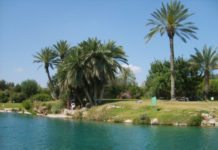 Journée « KEF » à Gan Hashlocha (SAHNE) le Dimanche 10 Juin 2018 avec l’association CFA d’Ashkelon