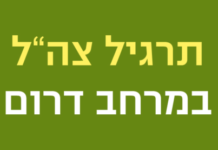 Exercice de Tsahal dans la région du sud