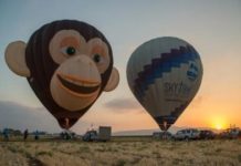 Réductions sur les activités les meilleures et les plus intéressantes d’Israël !