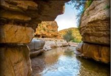 AshdodCafe et business-cafe.biz vous souhaitent «Shabbat Shalom» : dates, horaires, paracha