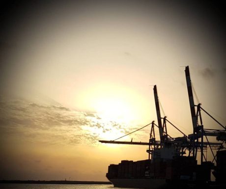 Visite nocturne du port d’Ashdod avec l’office du Tourisme le 31 juillet- Beaux compliments par Ynet sur la ville !