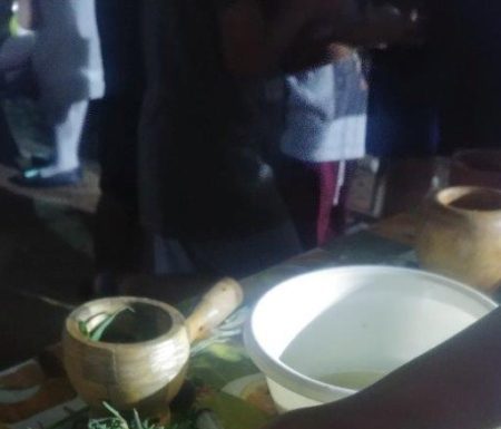 Ashdod : Une nuit blanche et verte à la ferme