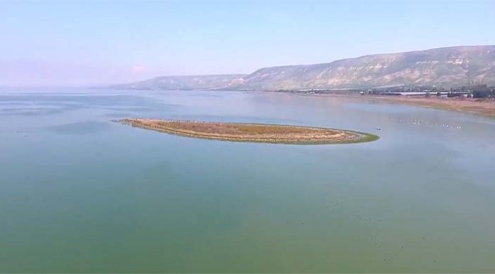 Après 5 années de sécheresse, le lac Kinneret atteint la ligne noire !