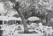 Nostalgie quand tu nous tiens ! c’est ce soir, rue Rogozine, venez voir Ashdod comme vous ne l’avez jamais connu !