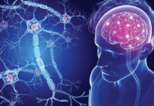 Percée dans la recherche sur la sclérose en plaques à l’Université de Tel-Aviv