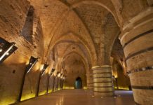 Municipalité d’Ashdod : Voyages et loisirs à travers le pays pour les seniors.