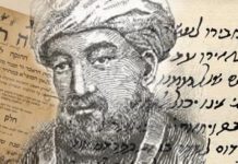 Maimonide et le Rav de Tlémcen, précurseurs des traitements anti-âge