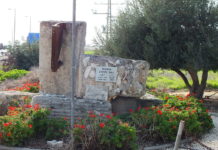 Connaissez vous «Secrets d’hibiscus» à Kfar Warburg ? c’est un endroit incroyable !