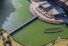 Très bientôt dans le parc Ashdod Yam le café « jardin des contes » verra le jour