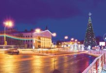 Une initiative visant à mettre un sapin de Noël sur la place de la municipalité : pour ou contre ???