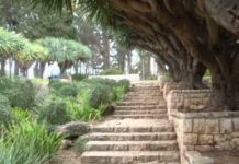 Dernier tiyoul de l’année proposé par le misrad haklita d’Ashdod ! attention c’est pour dimanche 30-12