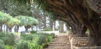 Dernier tiyoul de l’année proposé par le misrad haklita d’Ashdod ! attention c’est pour dimanche 30-12