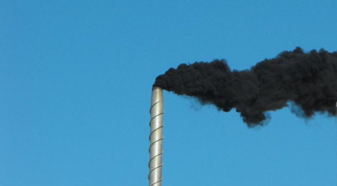 Concentrations élevées de benzène : Sharon Mark a adressé une lettre au directeur général du ministère de la Protection de l’environnement
