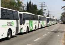 Ashdod infos utiles : bureau de poste, élections, lignes de bus…