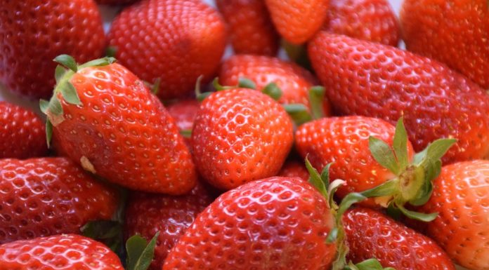 13 raisons de manger comme un israélien
