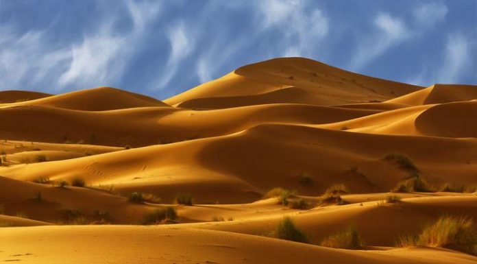 Psychologie et judaïsme : le désert pour décor par Hanna Lachkar Haddad, psychologue – psychothérapeute
