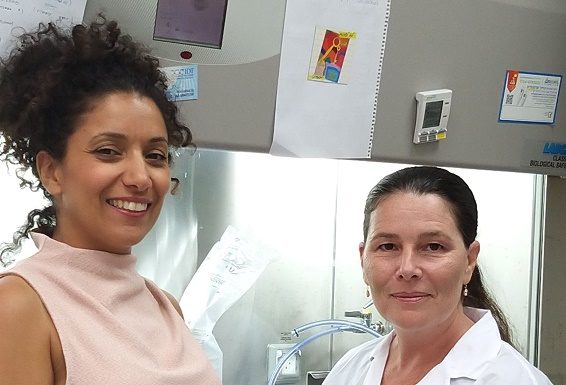 Des chercheuses de l’Université de Tel-Aviv ont découvert comment le cancer de la peau devient mortel