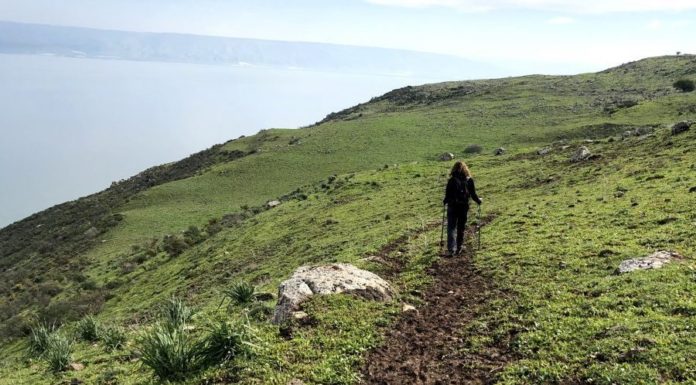 L’Autorité foncière approuve des réductions financières « sans précédent » sur des parcelles du Néguev et de Galilée
