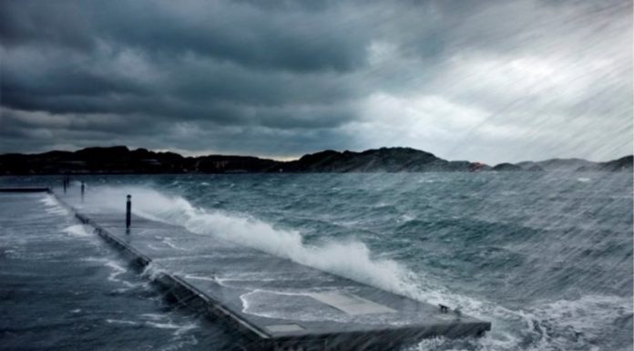 Le brise-lames écologique atteint Ashdod – regardez