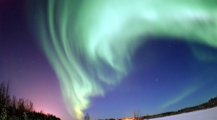 Voyager casher pour découvrir le monde vous propose : Safari d’hiver en Laponie • février 2024- plus que 3 chambres de disponibles !!!