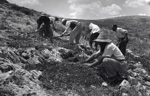 Comment Israël a pu stopper la dégradation des terres arables et la désertification ?