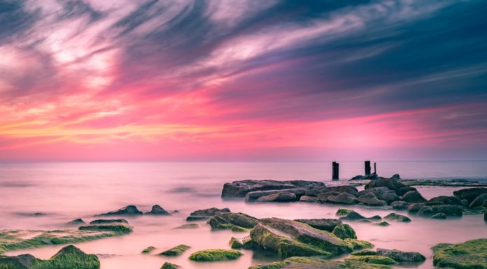 Mosaïque du monde : exposition des membres du »Ashdod Art Photography Club »
