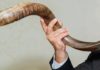 Le shofar, la corne du bélier !