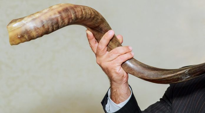 Le shofar, la corne du bélier !