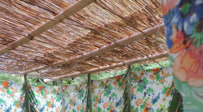 Souccot ou la précarité de la vie