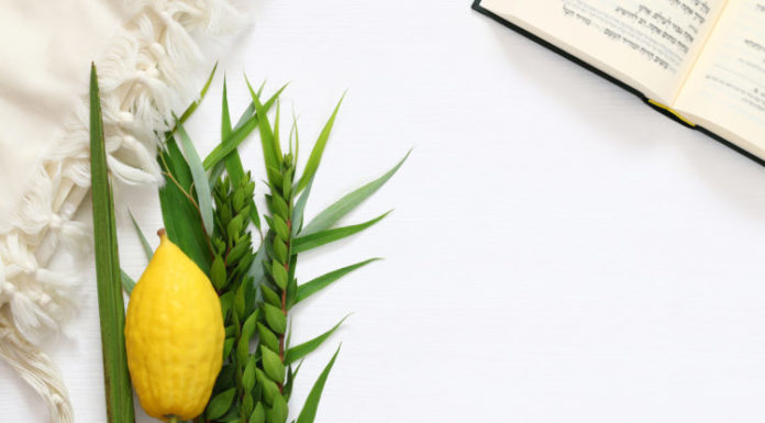 LES QUATRE ESPECES ARBAÂTH ‘HAMINIM המינים ארבעת