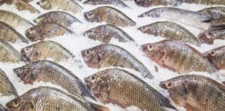 Attention : le ministère de la Santé met en garde : tilapia congelé, et hamburgers à rappeler