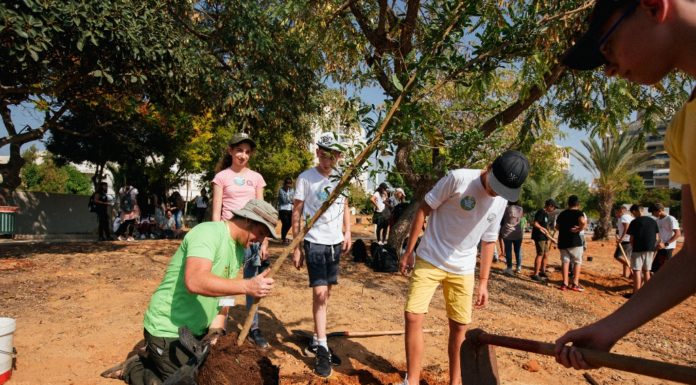 La première forêt d’Ashdod
