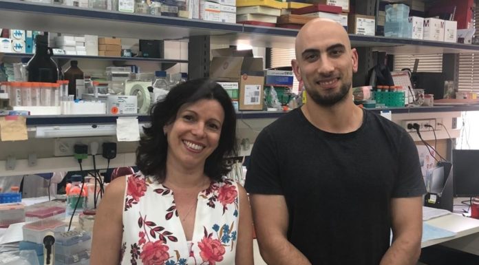 Les médicaments anti-inflammatoires peuvent freiner la progression du cancer du sein
