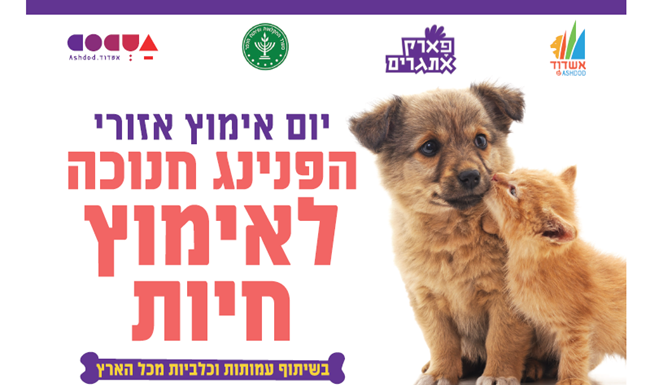 Ashdod : adoption de chiens et de chats – nouvelle date !