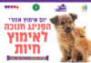 Un grand événement de Hanoucca pour l’adoption de chiens et de chats à Ashdod