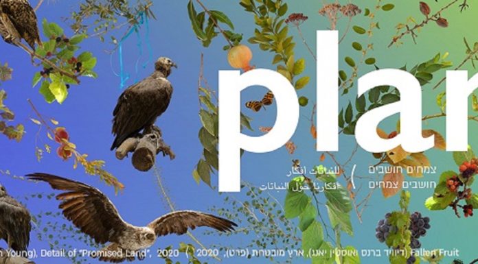 L’artiste français Stéphane Thidet expose dans le cadre de l’exposition collective Plan(e)t, à partir du 8 janvier, Université de Tel Aviv
