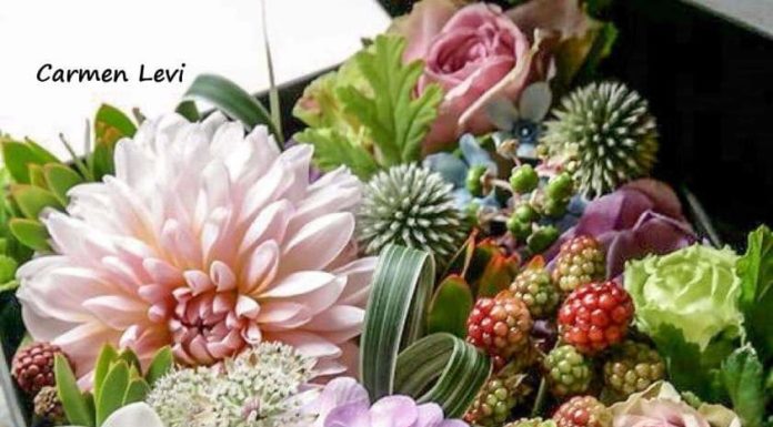 Toute l’équipe d’AshdodCafé vous souhaite «Shabbat Shalom» : date, horaires, paracha…