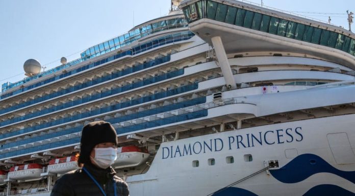 L’hôpital Sheba prêt à recevoir les 12 israéliens qui étaient en isolement sur le Diamond Princess au Japon