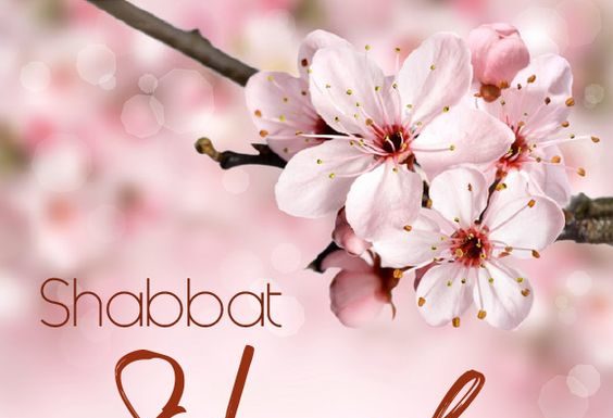 Toute l’équipe d’AshdodCafe vous souhaite «Shabbat Shalom» : date, horaires, paracha…