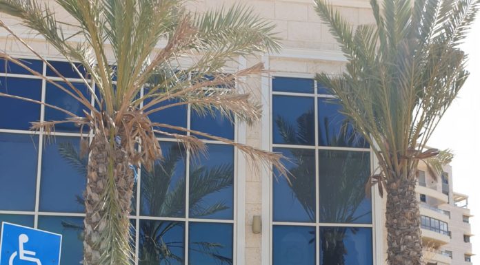 Impensable ! des prières dans une synagogue d’Ashdod contrairement aux directives (vidéo)