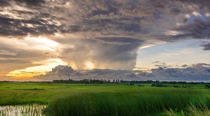 Défis climatiques, économiques et pandémiques : comment reconstruire à la sortie des crises
