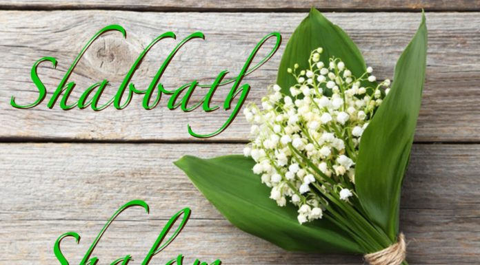 Toute l’équipe d’AshdodCafé vous souhaite «Shabbat Shalom» : date, horaires, paracha…