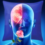 Renforcer la mémoire pendant le sommeil : une méthode révolutionnaire développée par l’Université de Tel-Aviv et l’Institut Weizmann