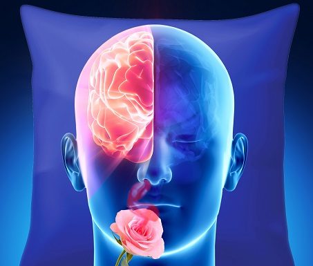 Renforcer la mémoire pendant le sommeil : une méthode révolutionnaire développée par l’Université de Tel-Aviv et l’Institut Weizmann