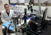Des études de l’Université de Tel-Aviv révèlent comment notre cerveau se déconnecte de la réalité pendant le sommeil et sous anesthésie