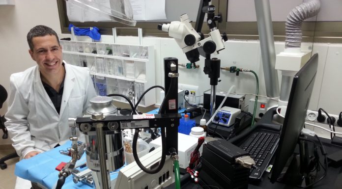 Des études de l’Université de Tel-Aviv révèlent comment notre cerveau se déconnecte de la réalité pendant le sommeil et sous anesthésie