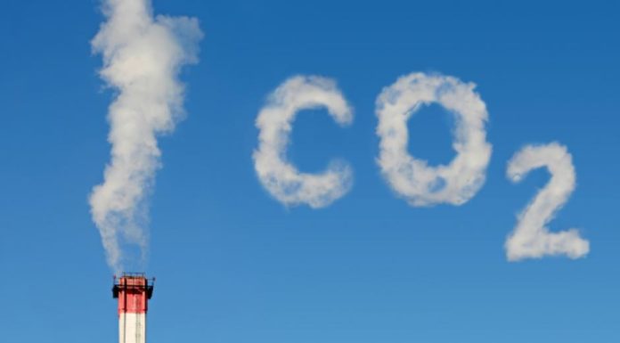 Banque d’Israël et ministère de l’Environnement : vers une taxe carbone à l’exemple des pays de l’OCDE