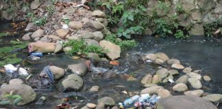 ALKEMY une percée technologique israélienne exemplaire pour faire face aux défis écologiques