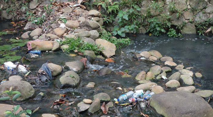 ALKEMY une percée technologique israélienne exemplaire pour faire face aux défis écologiques